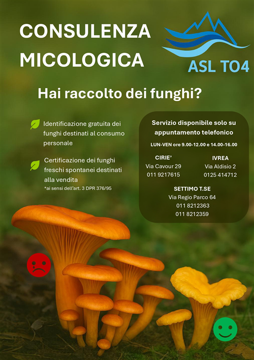 Consulenza micologica